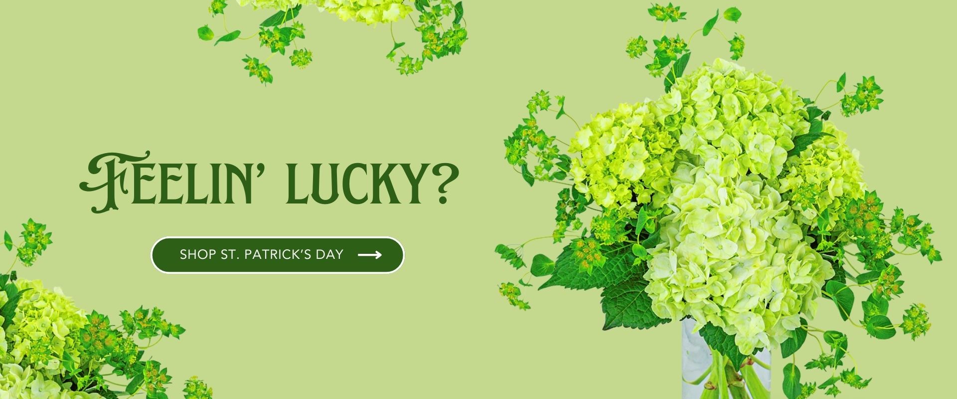 Antioch Florist Flower Delivery in Antioch, California